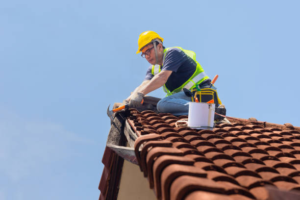 Steel Roofing in Valley Park, MO